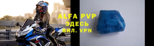 спиды Верея