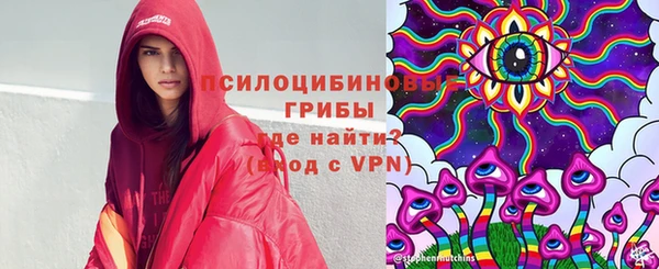 спиды Верея