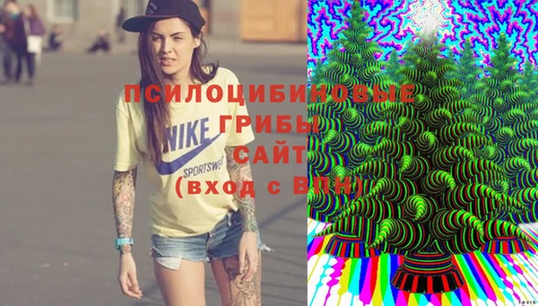 спиды Верея