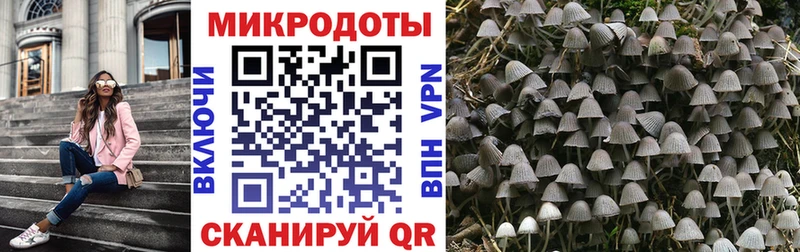 Псилоцибиновые грибы мицелий  Гдов 