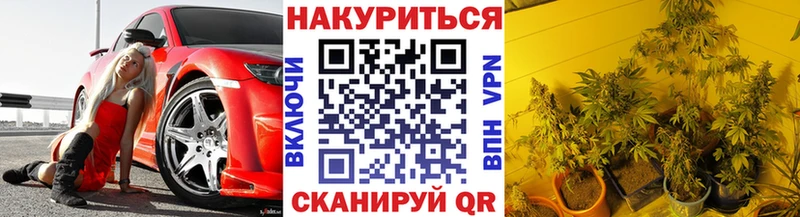Шишки марихуана White Widow  где найти наркотики  Гдов 